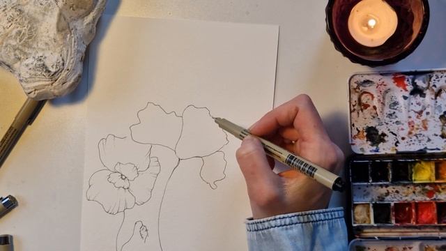 My Easiest flower in line and Wash (or how to sketch a cute Poppy) смотреть онлайн