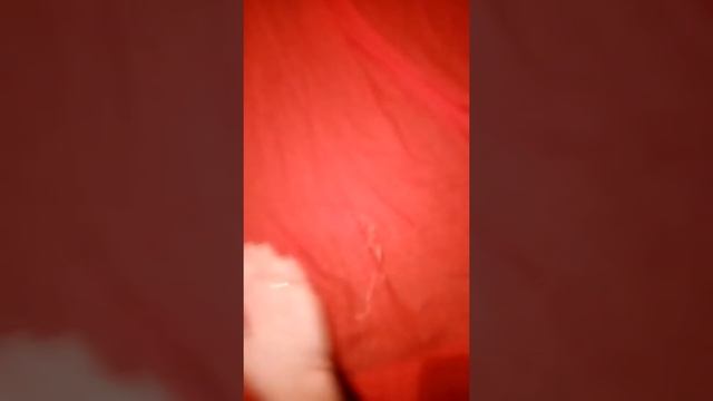 Как очистить ткань шторы от кошечьей шерсти смотреть онлайн