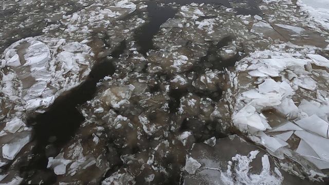 Лёд на Неве тронулся