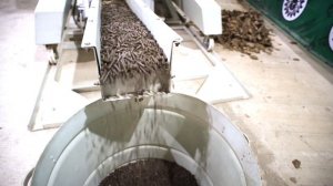 Гранулирование опавших листьев