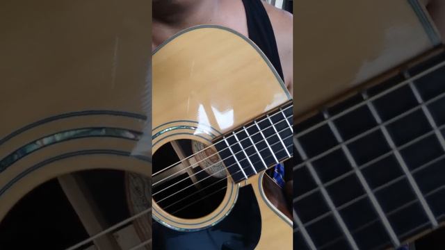 Limited Edition Washburn 125th Anniversary Guitar. смотреть онлайн