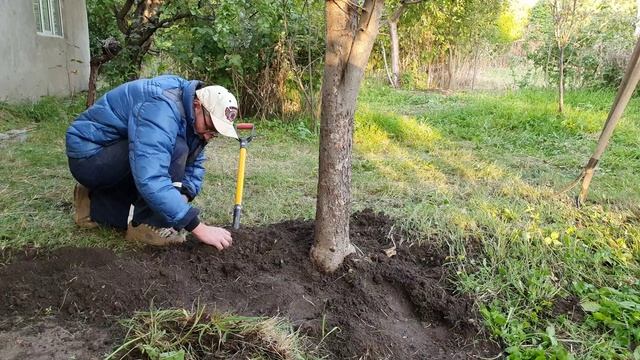 20 Вижу через очки жёлтый Алмаз (3).mp4 смотреть онлайн
