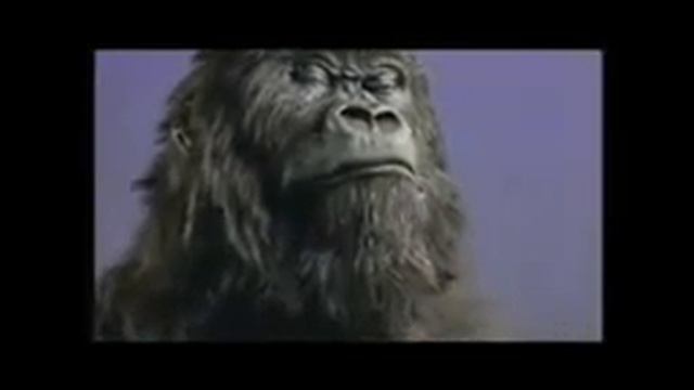 Cadbury Gorilla Remix смотреть онлайн