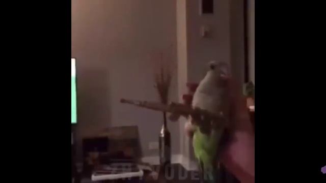 РАТАТАТА голосами Животных смотреть онлайн