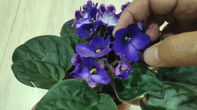 Пятница 13.Чудо чудное,диво дивное. смотреть онлайн