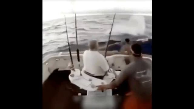 Нарезка приколов) Выпуск 1 смотреть онлайн