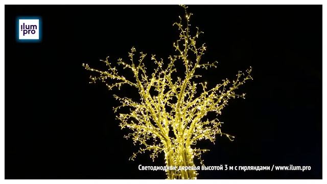 Светодиодные деревья высотой 3 метра с гирляндами и подиумами / Айлюм Про смотреть онлайн