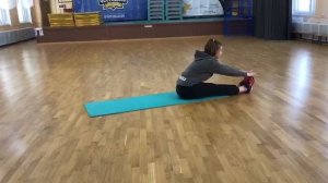 Комплекс упражнений для специальной медицинской группы.