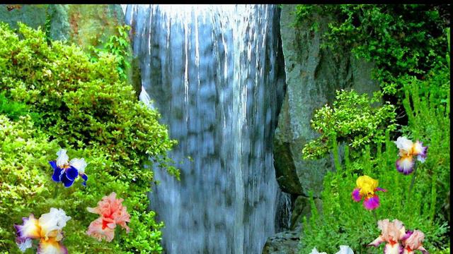 12 сеанс онкология