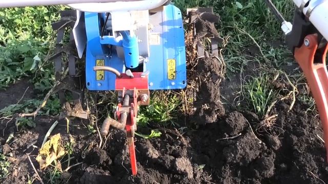 Выкапываем картошку мотоблоком,урожай сезона 2019. смотреть онлайн