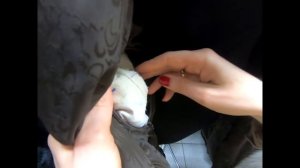 Как отличить хорошую норковую шубу от плохой