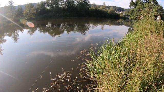 Рыбалка на спиннинг в жару, когда у щуки просыпается жор?! смотреть онлайн