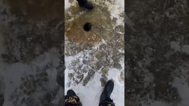 ЩУКА НА 12 КГ!!!!!!!!!! смотреть онлайн