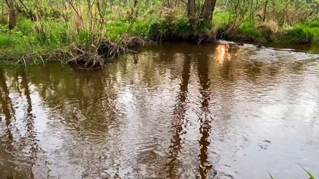 Russian nature 2021 (relaxing video)