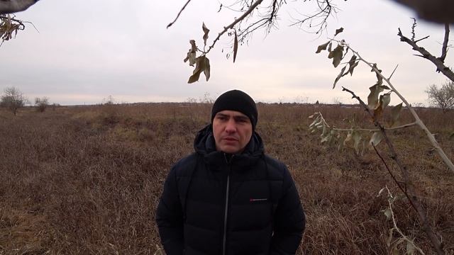 Что я начудил когда заводил пчел. Начинающие, не повторяйте!) смотреть онлайн