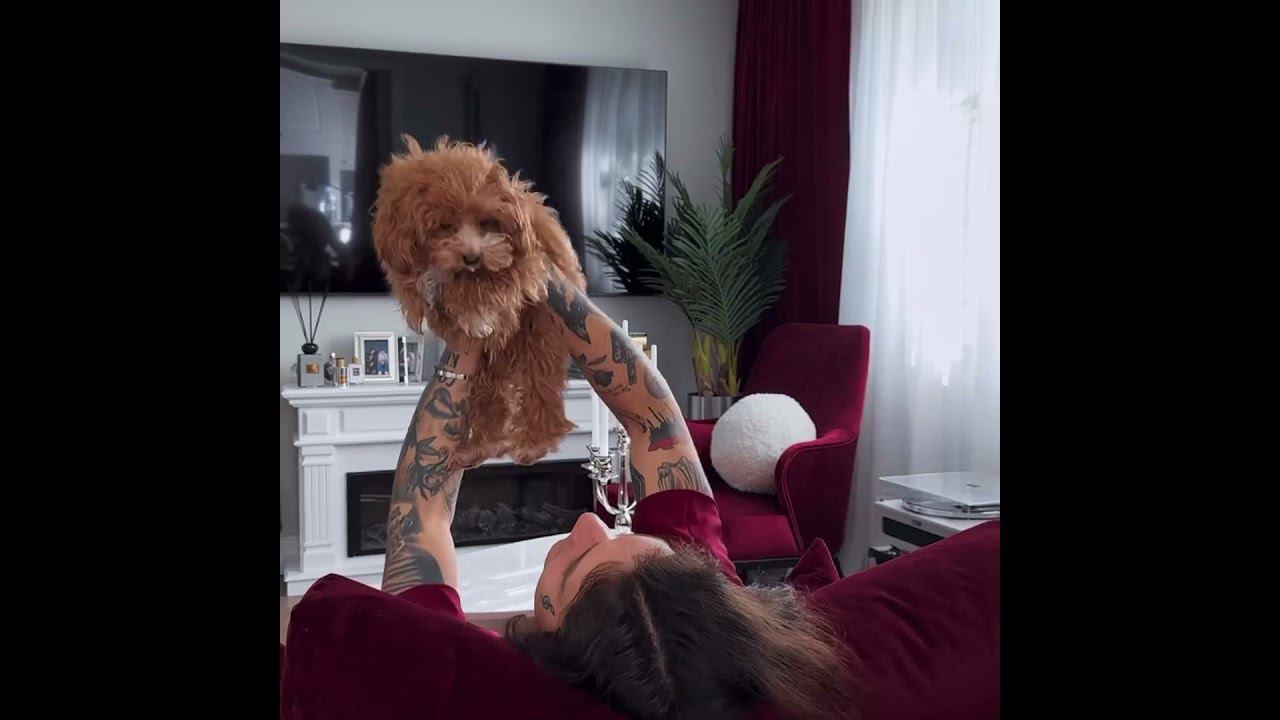 XOLIDAYBOY День рождения! Reels Ивана 02.05.24 #xolidayboy #иванржевский#деньрождения #иван смотреть онлайн