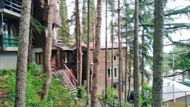 "Морской бриз" в Гурзуфе. Зелёная территория пансионата. #морскойбриз #гурзуф #крым смотреть онлайн