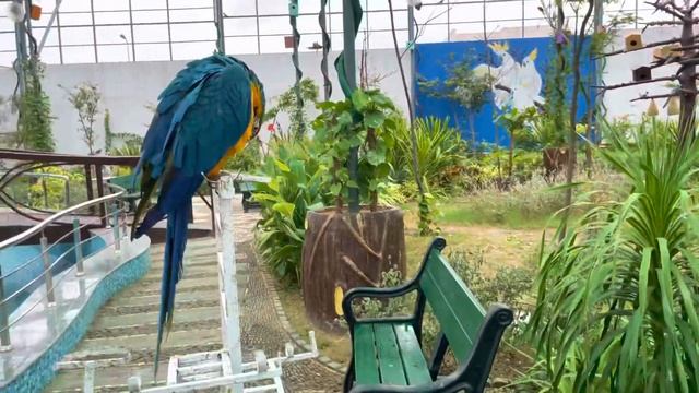 Смотрим наш дом в Пакистане, парк с птицами / Влог / Пакистан / Казахстан