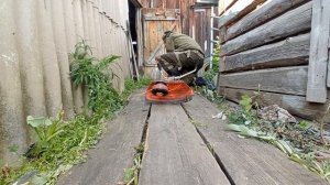 КОСИМ ТРАВУ С ПОМОЩЬЮ БЕНЗИНОВОГО ТРИММЕРА. Сельская жизнь в действии