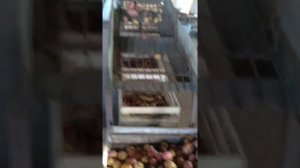 Сортировка картофеля