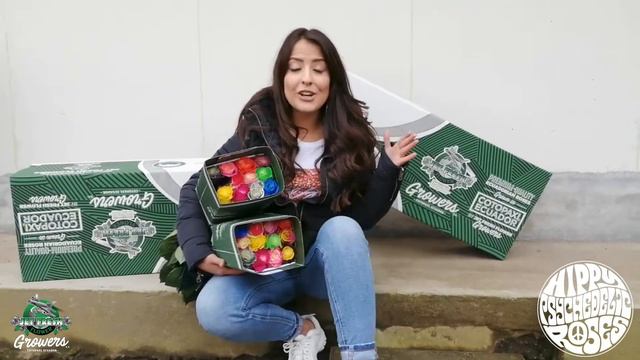 JFTV: Jet Fresh Growers' Hippy Psychedelic Roses - Rainbow in Bunch w/ Melisa Mundial (Bi-lingual) смотреть онлайн
