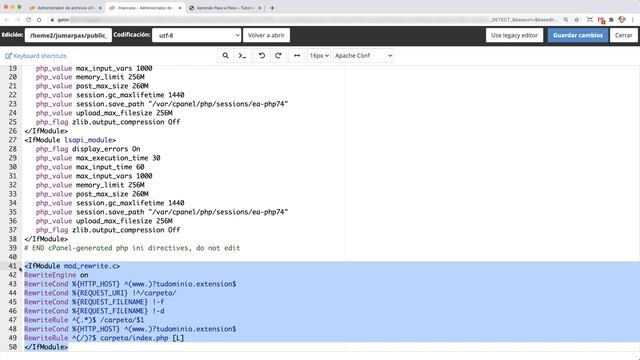 Apuntar el dominio principal del Hosting CORRECTAMENTE a la carpeta de instalación de WordPress смотреть онлайн