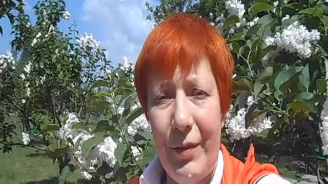 Стабильное Самадхи. смотреть онлайн