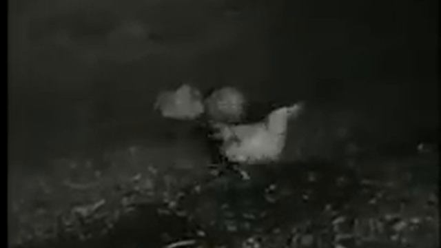 Ужас на птицеферме смотреть онлайн