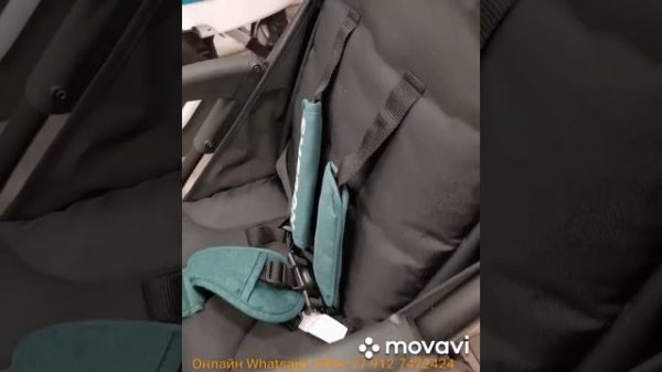 Прогулочная коляска Indigo Sheron L. Большие колеса. Вместительная. Обзор одним дублем. По-ярче БЫ?