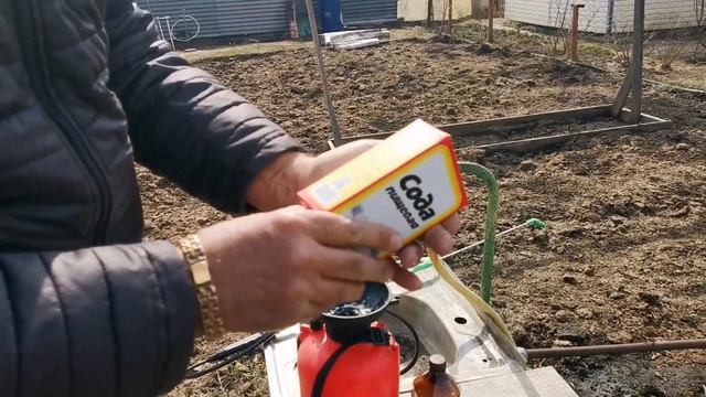 Зеленые декоративные элементы