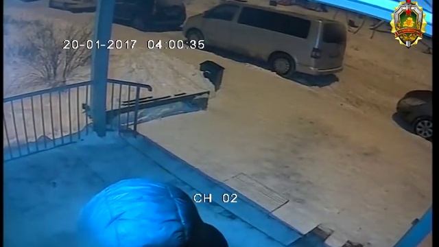 Подозреваемый в совершении краж в Минском районе смотреть онлайн