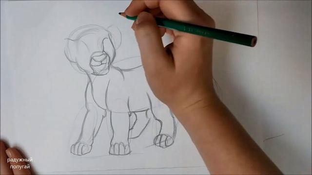 КАК НАРИСОВАТЬ СИМБУ ! КОРОЛЬ ЛЕВ how to draw a Simba, lion king смотреть онлайн