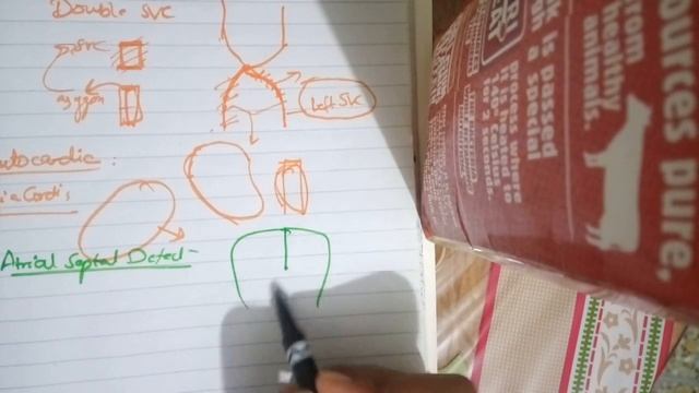 IMPORTANT CLINICALS of CVS development part 1 смотреть онлайн