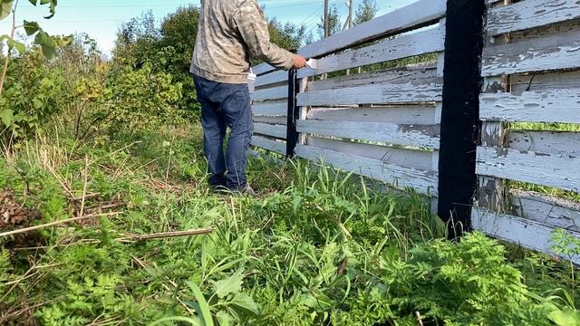 Забор покраска фасадной краской Проблема смотреть онлайн