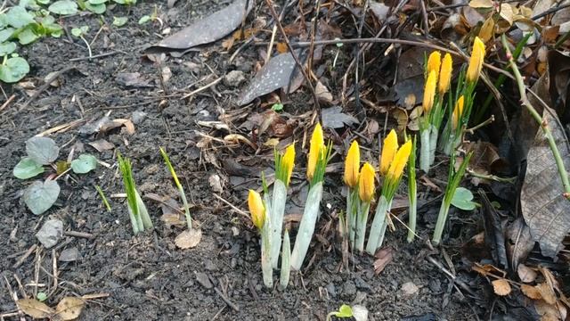 6 апреля. КАНУН БЛАГОВЕЩЕНИЯ/Что категорически нельзя делать после полудня!/Народные приметы смотреть онлайн