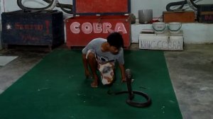 ?Укротитель змей?Граница страха и  восторга?Остров Самуи?Тайланд?Snake show?Koh Samui?Snake tamer?
