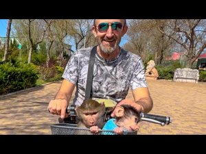 КРАСОТА! Люся со Степашкой В ОБНИМКУ в корзинке катаются по парку)))