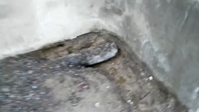 Как отвести грунтовые воды с дорожки смотреть онлайн
