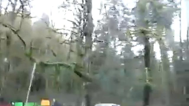 Кислотный реки Голдстрим29.12.2010. парке Голдстрим смотреть онлайн