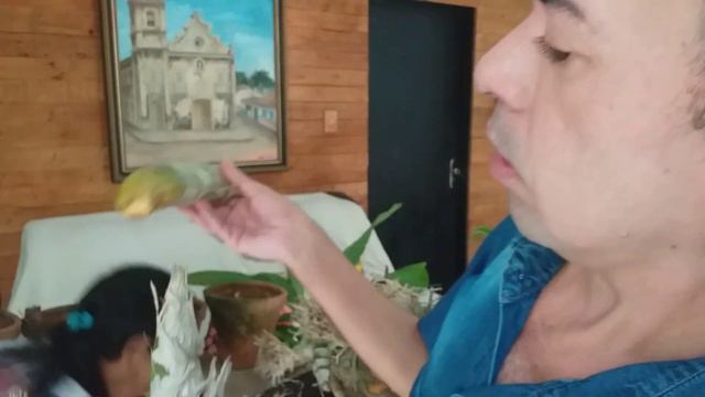 VíDEO-AULA CORTE/ DIVISÃO/SEPARAÇÃO REPLANTIO DE ORQUÍDEAS CATASSETUM смотреть онлайн
