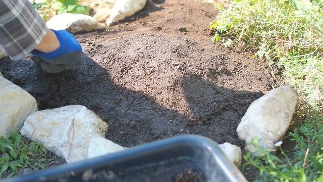 《お庭改造》秋から始める宿根草のナチュラルガーデンづくり《T's Gardenのガーデニング》 смотреть онлайн