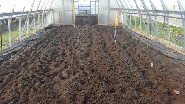 Начало сезона 2020...