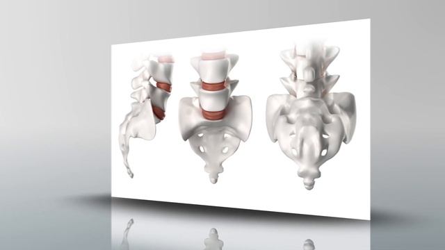 Begini Cara Atasi Cidera Tulang Ekor - First Aid смотреть онлайн