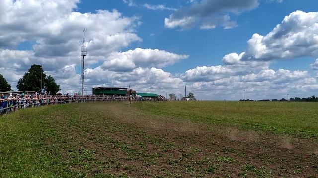 Сабантуй. Скачки. 1. Улу Теляк. 2019. смотреть онлайн