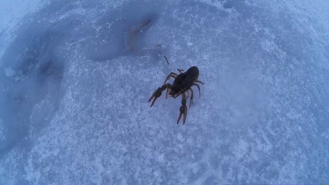 Завершение зимнего сезона. Последний лёд. смотреть онлайн