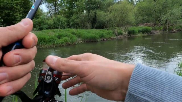 Ловля ГОЛОВНЯ (голавля) на ПЕЧІНКУ смотреть онлайн