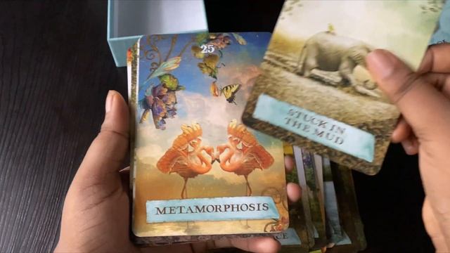 Colette Baron-Reid The Enchanted Map Oracle Cards: A 54-Card Deck and Guidebook Walkthrough смотреть онлайн