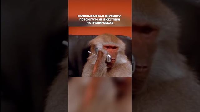 Алло?! #алло #тренировки #фитнестренер смотреть онлайн