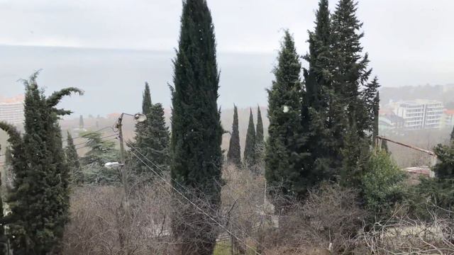 Ялта. Ну, здравствуй, 37 февраля! Снегопад и снежный коллапс на дорогах. Крым. Crimea. Yalta. смотреть онлайн