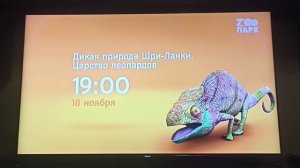Фрагмент анонса (Зоопарк, 01.11.2022)